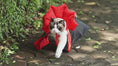 Load and play video in Gallery viewer, Cloak Costume for Pets
